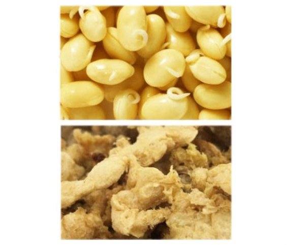 Японский стартап разрабатывает новую категорию мяса